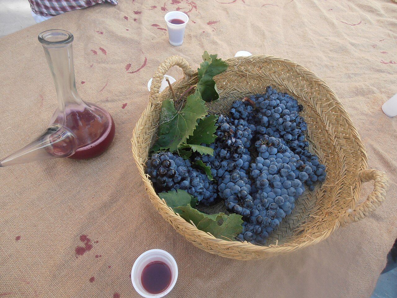Un cesto de esparto lleno de racimos de uva tinta con sus hojas, junto a una jarra de cristal con mosto, sobre un mantel de arpillera.